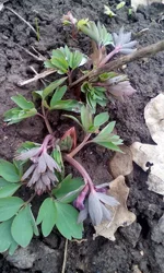 IMG_20170320_141254.webp