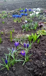 IMG_20170324_131954.webp
