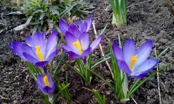 IMG_20170323_103933.webp