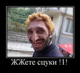 81677069-468190.webp