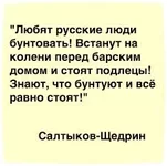 images.webp