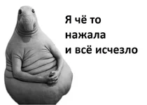 wx1080.webp