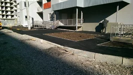 IMAG0721.webp