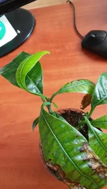 20170330_091304.webp