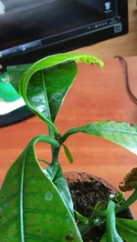 20170330_091350.webp