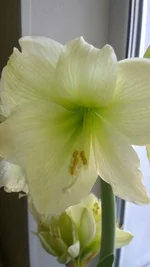 WP_20170322_0071.webp