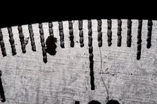 DSCF8770.webp