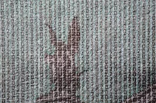 DSCF8927.webp