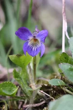 DSCF8957.webp