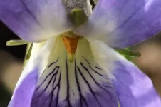 DSCF8960.webp