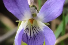 DSCF8961.webp