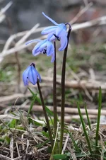 DSCF8964.webp
