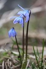 DSCF8965.webp