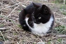 DSCF8966.webp