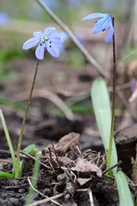 DSCF8970.webp