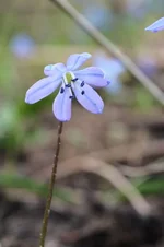 DSCF8972.webp