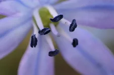 DSCF8976.webp