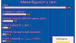 24.webp