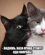 967a4a5846e9e956d16b.webp
