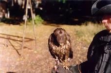 new-2.webp