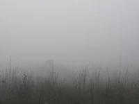 IMG_3086.webp