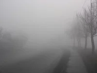 IMG_3085.webp
