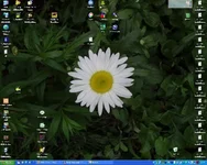 walllpaper.webp