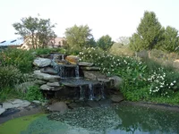 DSC01446.webp