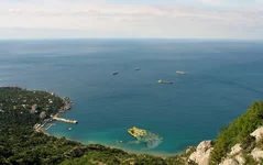 fotozhaba.webp