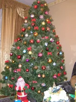 .webp