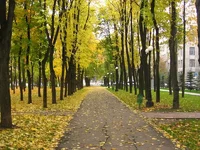  на Совнаркомовской.webp