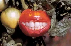 gjvbljh8um.webp