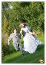 running_wild.webp