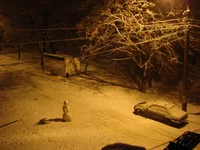 DSC03207.webp