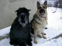 PIC_0021.webp
