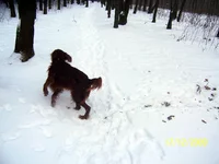01.webp