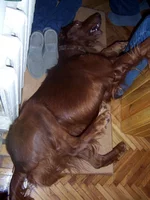 06.jpg