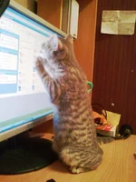 065555.webp 065555.webp