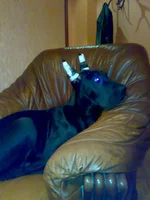 12122009811.webp
