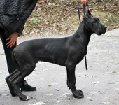 misterio_mi_f11_4mes[1].webp