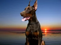 76650c9d5c13.webp