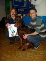show 26.12.2009.webp