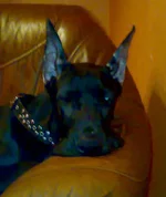 27122009853п.jpg