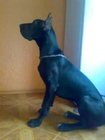 28122009869.webp