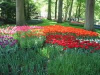 1 257.webp