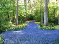 1 332.webp