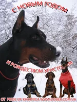  Новым Годом!.webp