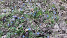 20170402_180635.webp