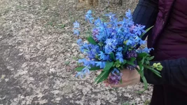 20170402_181323.jpg