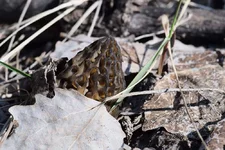 DSCF9004.webp